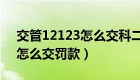 交管12123怎么交科二补考费（交管12123怎么交罚款）