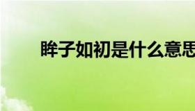 眸子如初是什么意思（眸子的意思）