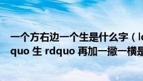 一个方右边一个生是什么字（ldquo 方 rdquo 旁边一个 ldquo 生 rdquo 再加一撇一横是什么字）