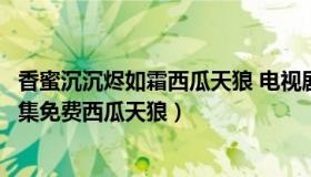 香蜜沉沉烬如霜西瓜天狼 电视剧（香蜜沉沉烬如霜电视剧全集免费西瓜天狼）