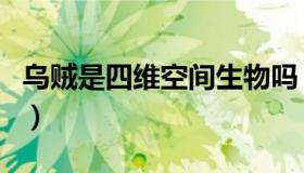 乌贼是四维空间生物吗（乌贼是四维空间生物）