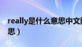 really是什么意思中文翻译（really是什么意思）