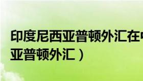 印度尼西亚普顿外汇在中国开网吗（印度尼西亚普顿外汇）