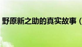 野原新之助的真实故事（野原新之助死亡照）