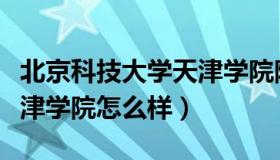 北京科技大学天津学院院长（北京科技大学天津学院怎么样）