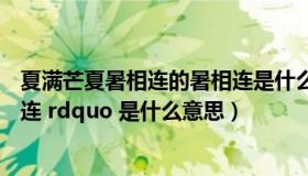 夏满芒夏暑相连的暑相连是什么意思（ldquo 夏满芒夏暑相连 rdquo 是什么意思）