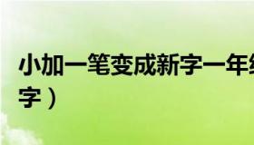 小加一笔变成新字一年级（小加一笔变成什么字）