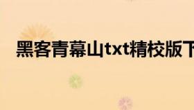 黑客青幕山txt精校版下载（黑客 青幕山）