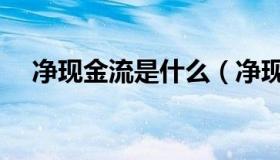 净现金流是什么（净现金流是什么意思）