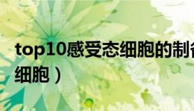 top10感受态细胞的制备步骤（top10感受态细胞）