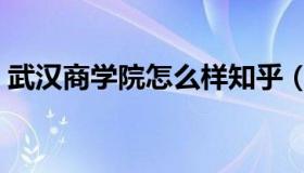 武汉商学院怎么样知乎（武汉商学院怎么样）