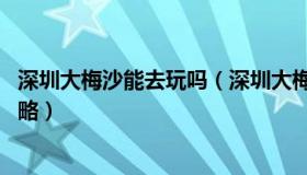 深圳大梅沙能去玩吗（深圳大梅沙怎么玩 深圳大梅沙旅游攻略）