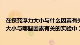 在探究浮力大小与什么因素有关的实验中（小冉在探究浮力大小与哪些因素有关的实验中）