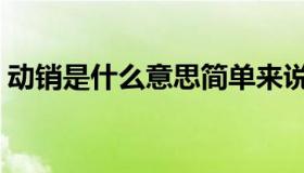 动销是什么意思简单来说（动销是什么意思）