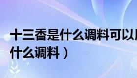 十三香是什么调料可以用什么代替（十三香是什么调料）