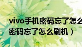 vivo手机密码忘了怎么刷机刷开（vivo手机密码忘了怎么刷机）