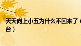 天天向上小五为什么不回来了（天天向上小五为什么不能上台）