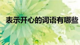 表示开心的词语有哪些（表示开心的词语）