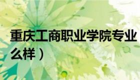 重庆工商职业学院专业（重庆工商职业学院怎么样）