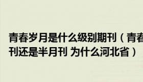 青春岁月是什么级别期刊（青春岁月杂志是学术期刊么 是旬刊还是半月刊 为什么河北省）