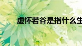 虚怀若谷是指什么生肖（虚怀若谷）