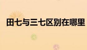 田七与三七区别在哪里（田七与三七区别）