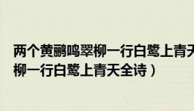 两个黄鹂鸣翠柳一行白鹭上青天的语言解释（两个黄鹂鸣翠柳一行白鹭上青天全诗）