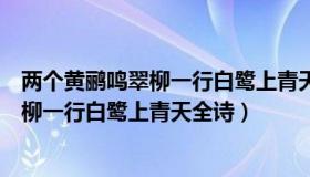 两个黄鹂鸣翠柳一行白鹭上青天的语言解释（两个黄鹂鸣翠柳一行白鹭上青天全诗）