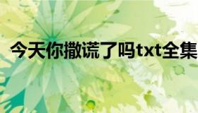 今天你撒谎了吗txt全集下载（今天你撒谎）