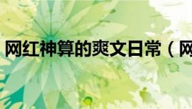 网红神算的爽文日常（网红神算的爽文人生）