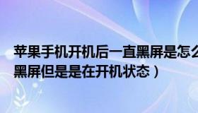 苹果手机开机后一直黑屏是怎么回事（为什么苹果手机突然黑屏但是是在开机状态）