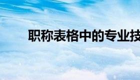 职称表格中的专业技术业绩怎么写？