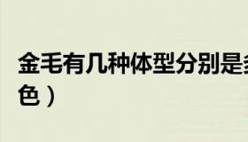 金毛有几种体型分别是多少斤（金毛有几种颜色）