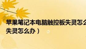 苹果笔记本电脑触控板失灵怎么办（苹果笔记本电脑触控板失灵怎么办）