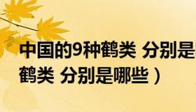 中国的9种鹤类 分别是哪些名字（中国的9种鹤类 分别是哪些）