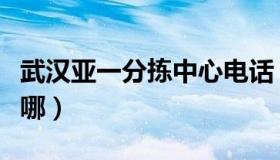 武汉亚一分拣中心电话（武汉亚一分拣中心在哪）