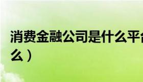 消费金融公司是什么平台（消费金融公司是什么）