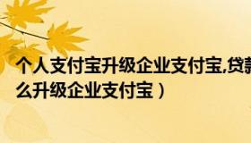 个人支付宝升级企业支付宝,贷款额度会变吗（个人支付宝怎么升级企业支付宝）