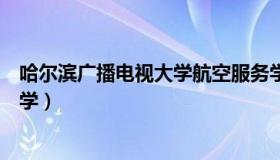 哈尔滨广播电视大学航空服务学院招聘（哈尔滨广播电视大学）