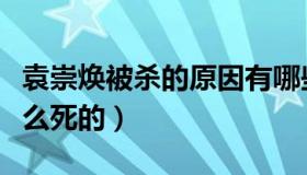 袁崇焕被杀的原因有哪些（历史上袁崇焕是怎么死的）