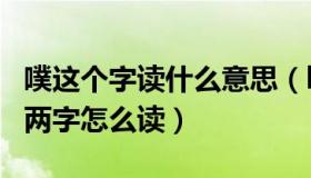 噗这个字读什么意思（ldquo 噗呲 rdquo 这两字怎么读）