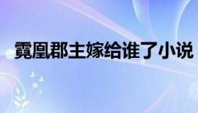 霓凰郡主嫁给谁了小说（霓凰郡主嫁给谁）