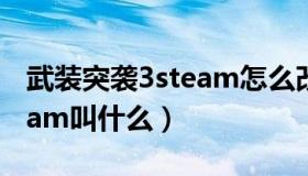 武装突袭3steam怎么改中文（武装突袭3steam叫什么）