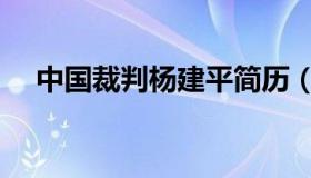 中国裁判杨建平简历（中国裁判杨建平）