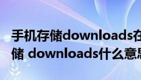 手机存储downloads在哪（保存路径 内部存储 downloads什么意思）