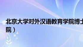 北京大学对外汉语教育学院博士（北京大学对外汉语教育学院）