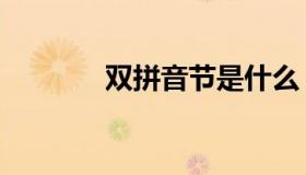 双拼音节是什么（双拼音节）