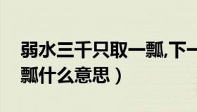 弱水三千只取一瓢,下一句（溺水三千只取一瓢什么意思）