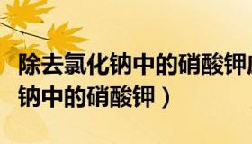 除去氯化钠中的硝酸钾应该怎样做（除去氯化钠中的硝酸钾）