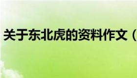 关于东北虎的资料作文（关于东北虎的资料）